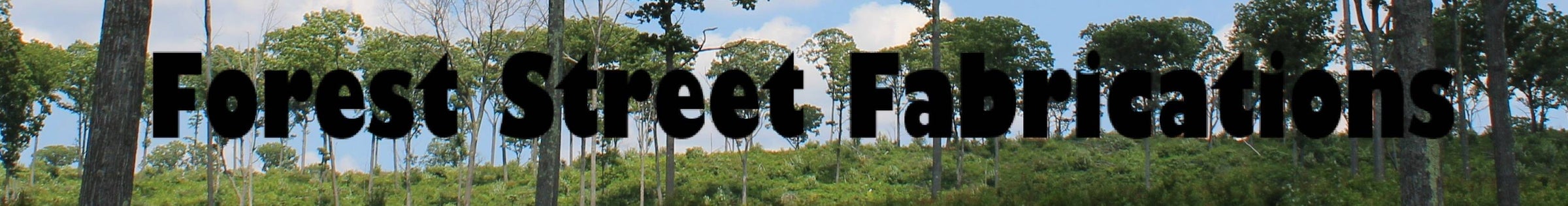 Forest Street Fabrications logo